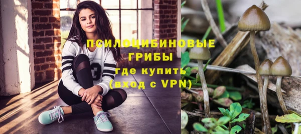 винт Няндома