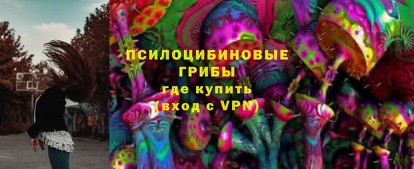 винт Няндома
