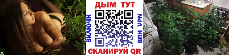 МАРИХУАНА сатива  Власиха 